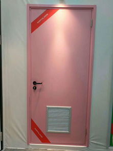 醫用鋼質平開門廠 潮州醫用鋼質平開門 百事特門業